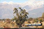 a_narrow gauge train